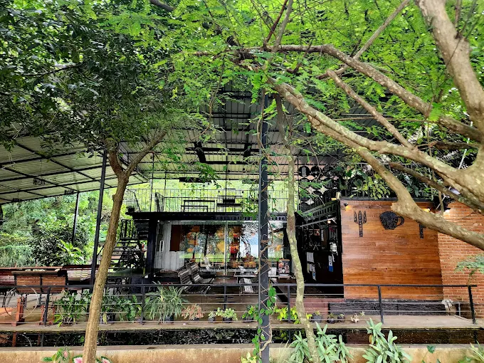Hambu Café's multi-level container and wood building surrounded by dense jungle trees