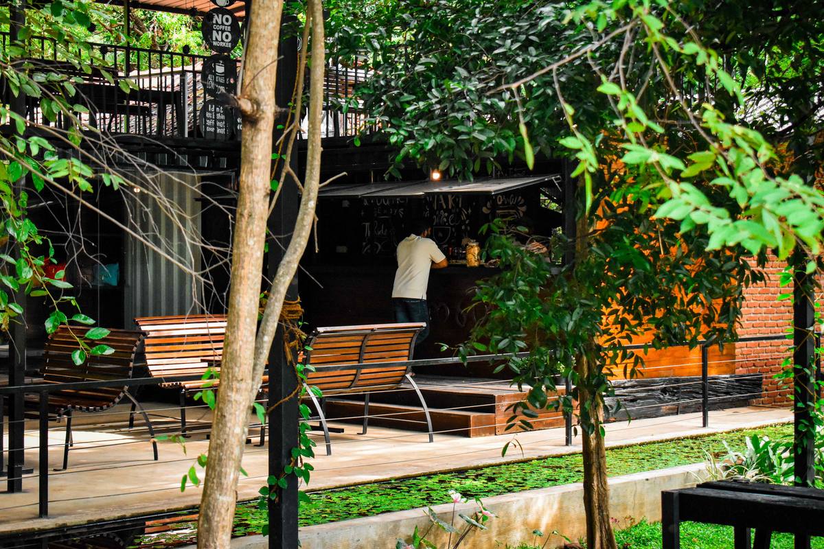 Wooden bench seating beside Hambu Café's coffee counter, framed by trees