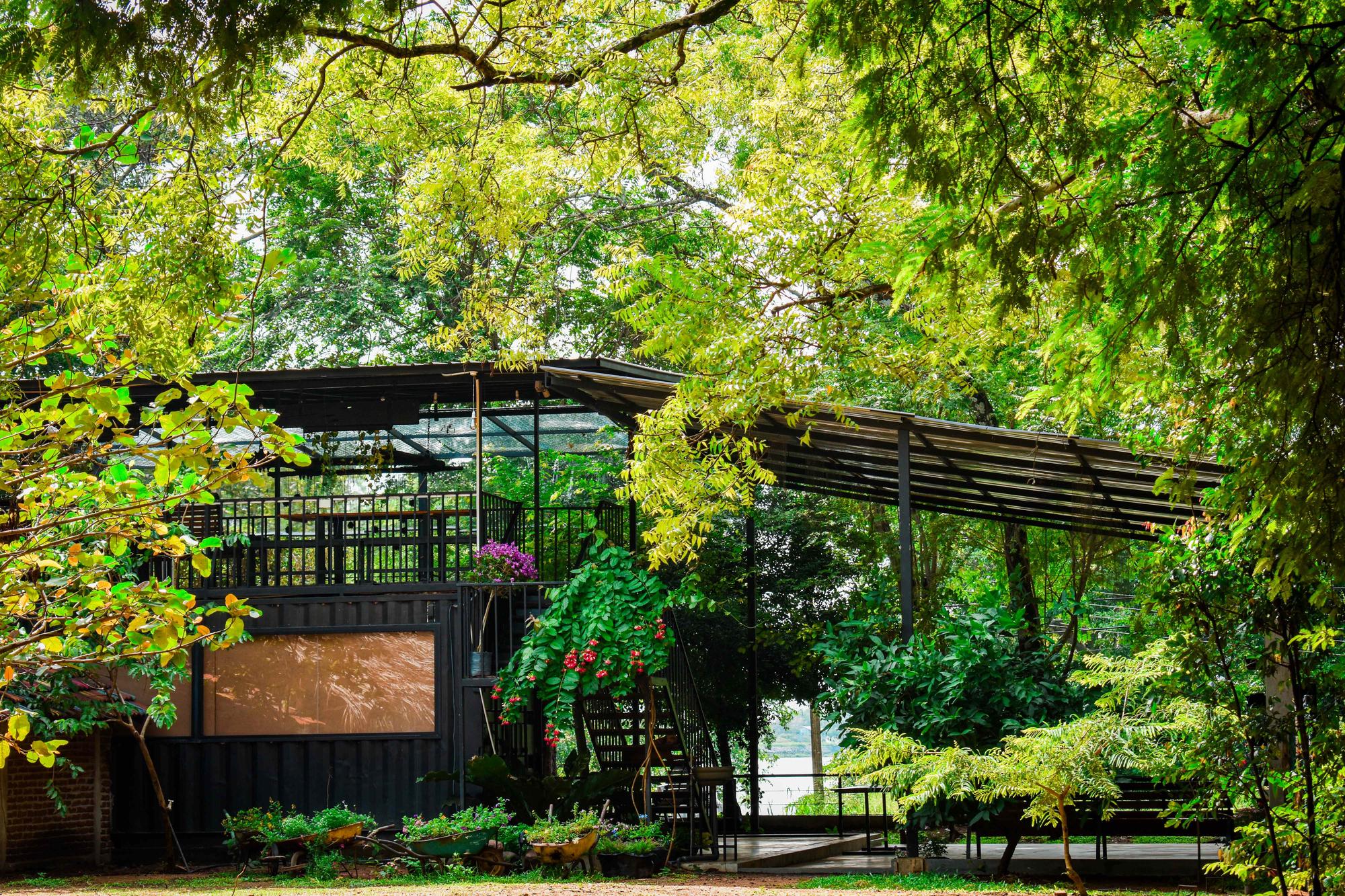 Hambu Café's upper deck and container building nestled beneath the jungle canopy in Girithale, Polonnaruwa
