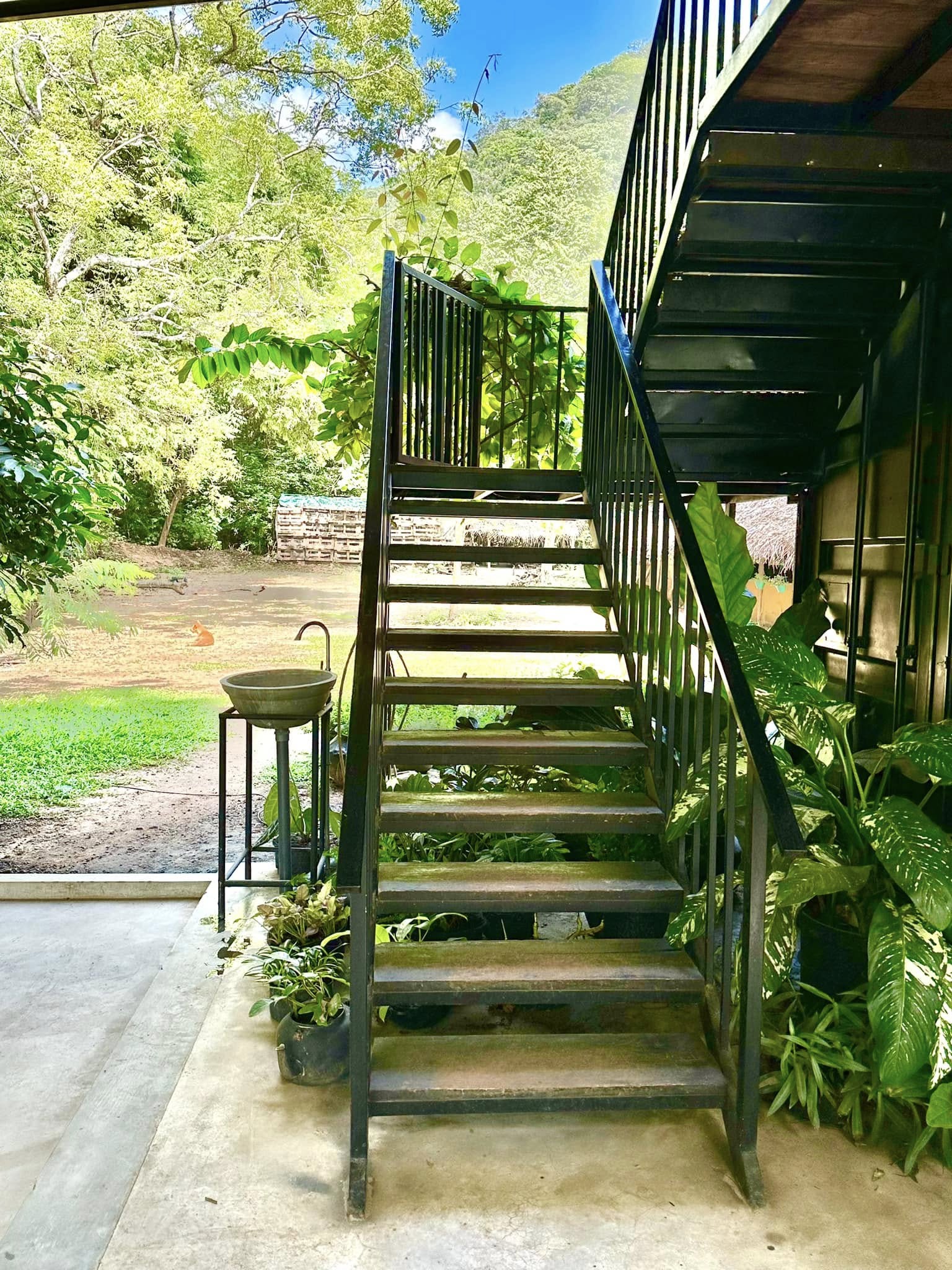 Staircase winding up through jungle plants to Hambu Café's upper deck, built between the trees