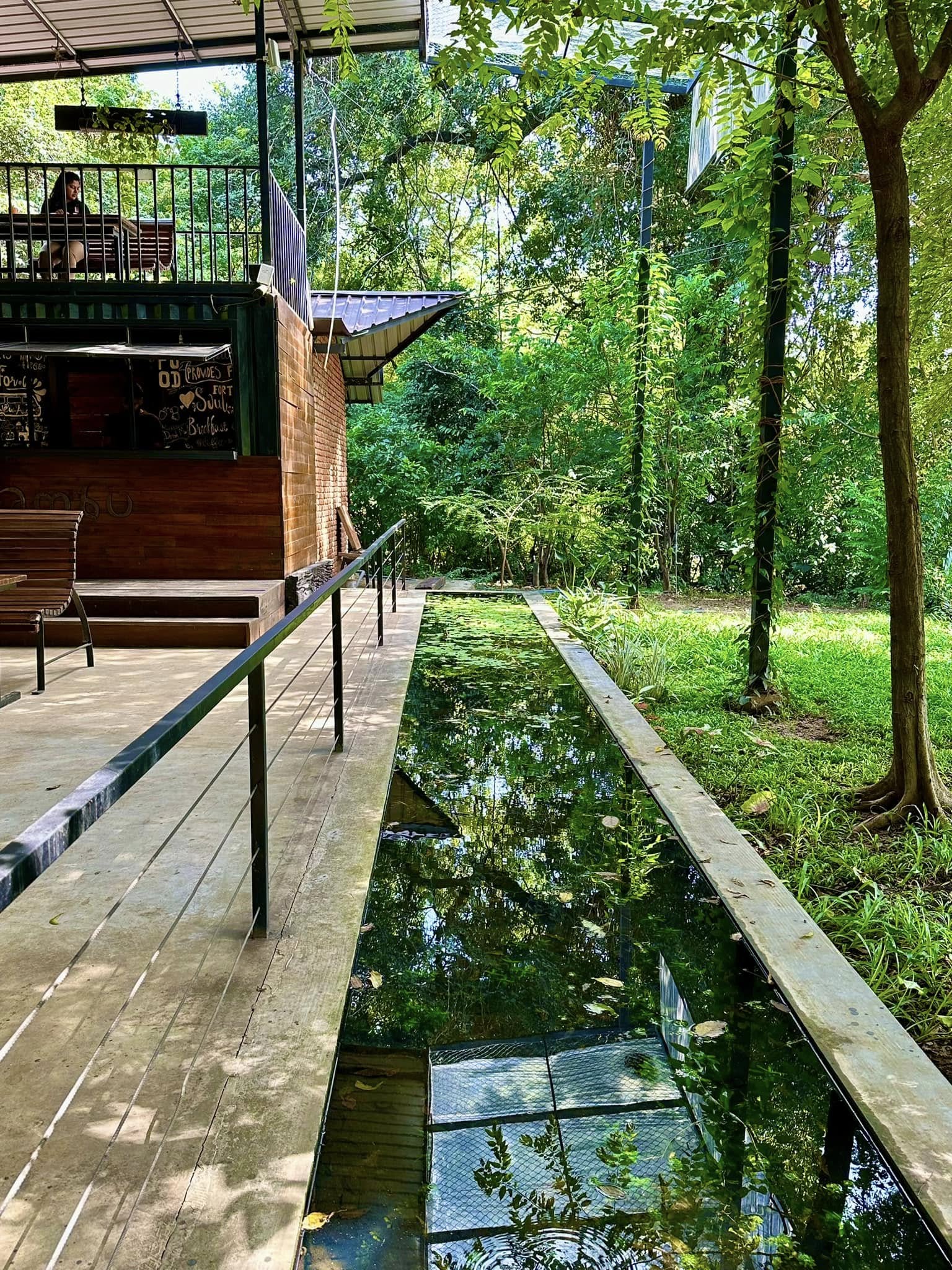 Elevated walkway beside a lily pond leading to Hambu Café's dining deck, surrounded by trees