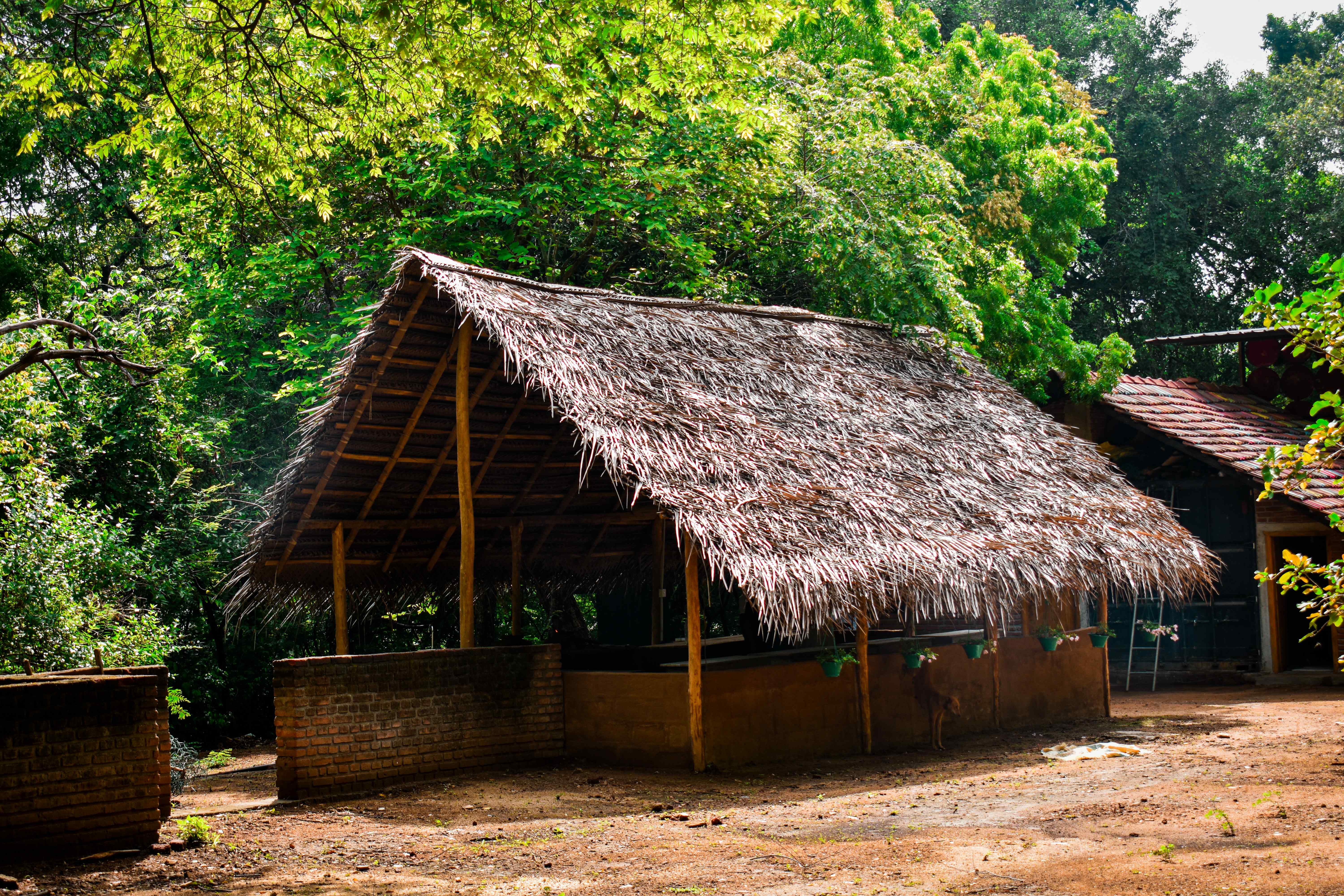 Traditional thatched roof dining area